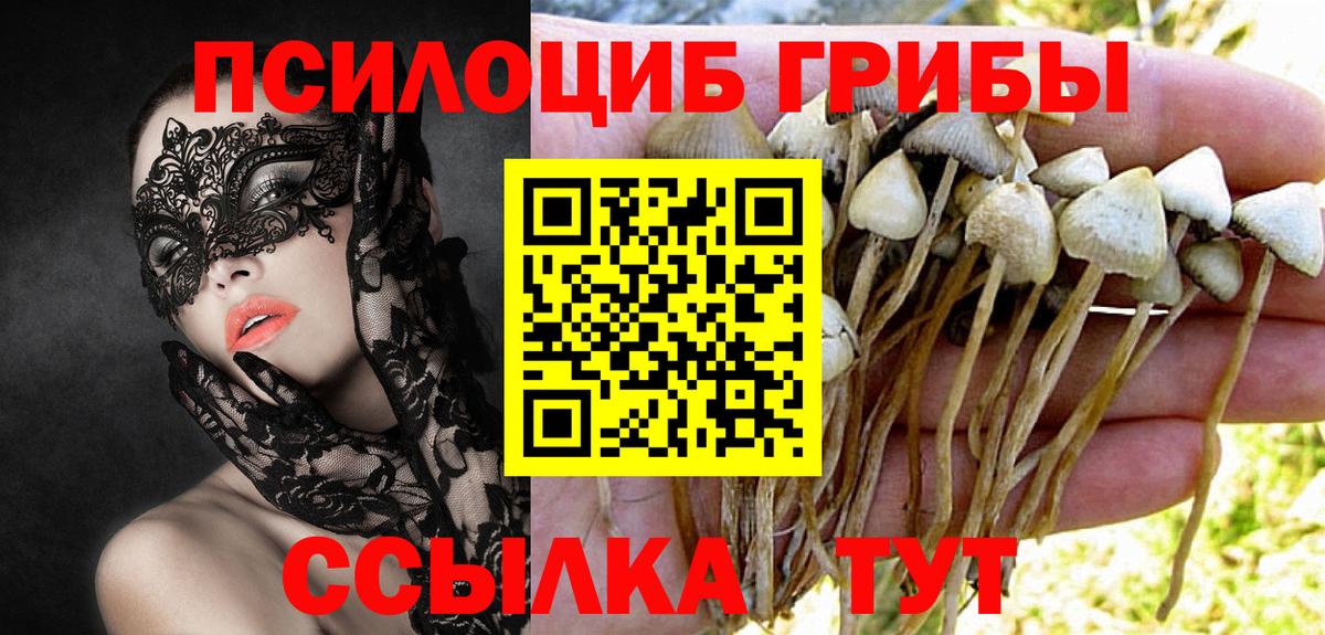 Псилоцибиновые грибы Magic Shrooms  Псилоцибиновые грибы мицелий  Нефтекумск  Вход с VPN 